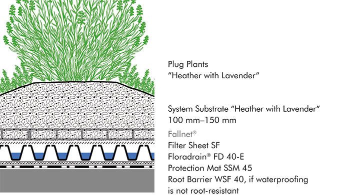 System build-up "Heather with Lavender"